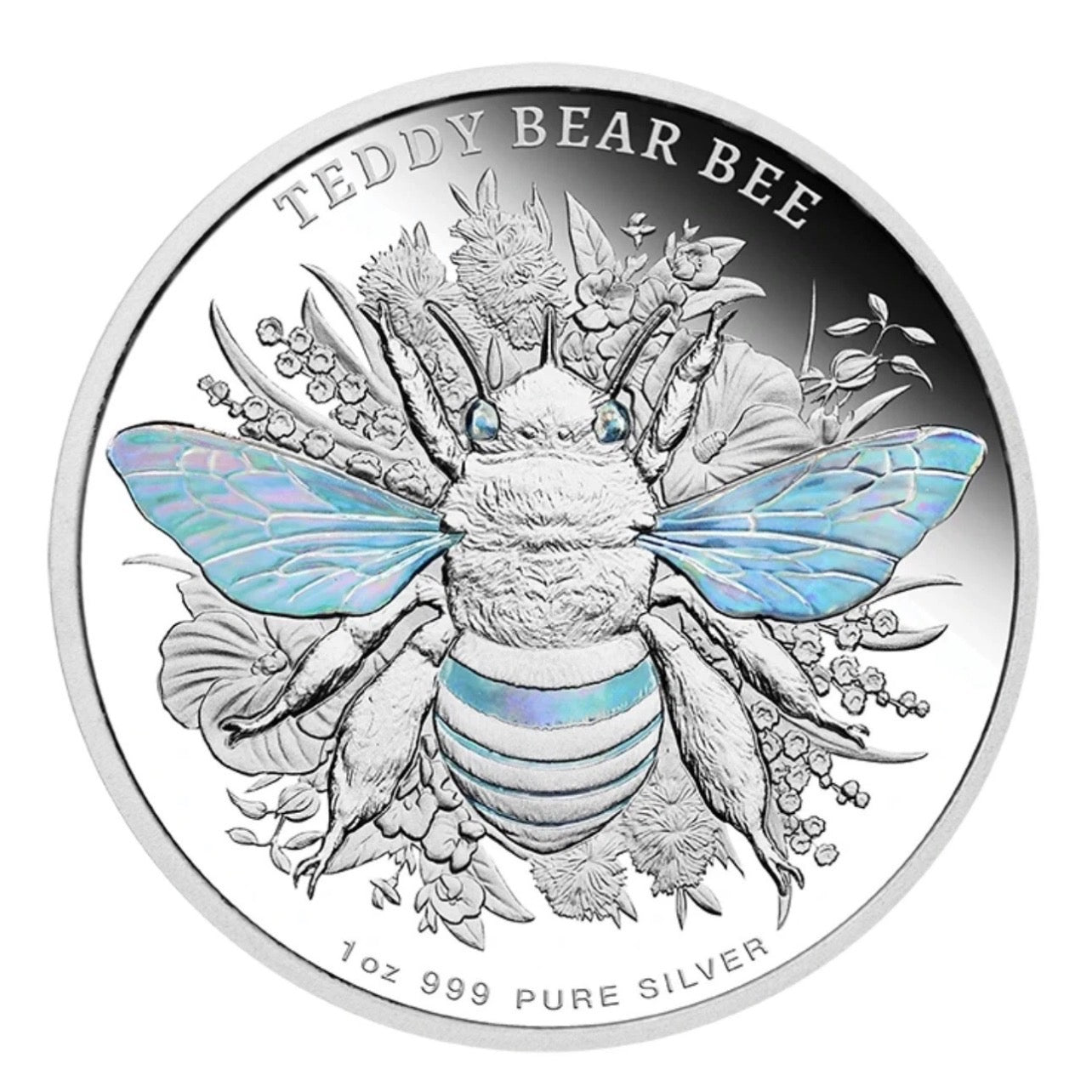 2026 Australia Native Bee Teddy Bear Bee 1oz Silver Proof Hologram Coin