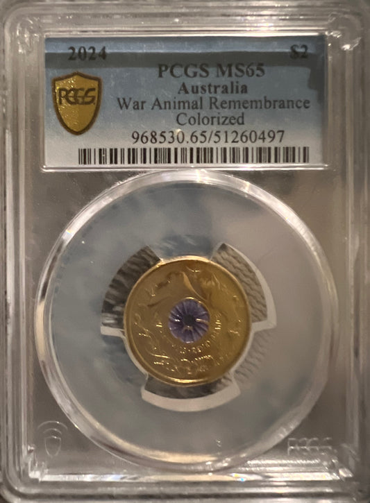 The 2024 Australian $2 War Animals Remembrance coloured coin, graded MS65 by PCGS